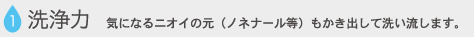 洗浄力